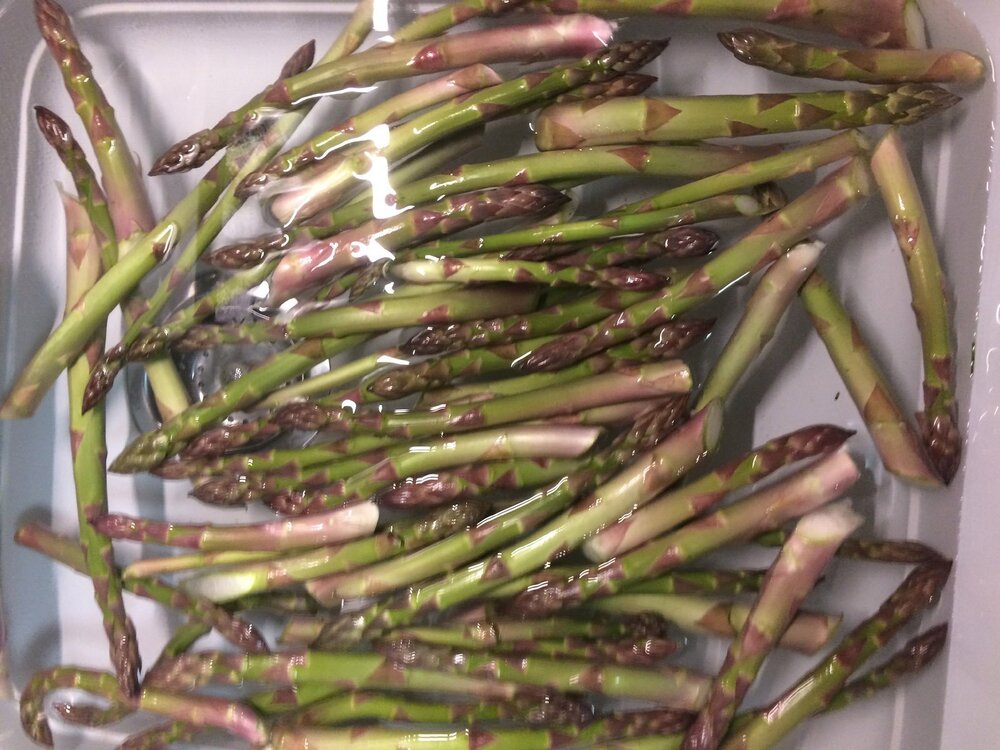 asparagus.thumb.jpg.33c874b3d02396d3eebbaef3a0bc5dce.jpg