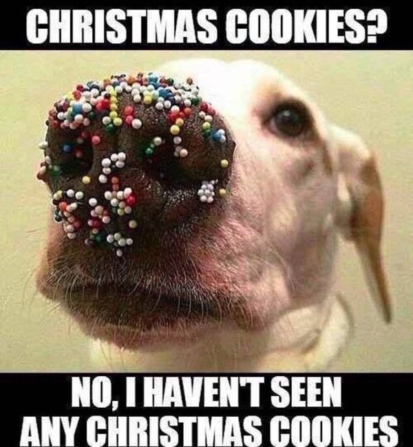 Christmascookies.jpeg.15a3721742182a186689ebab3e3fd72b.jpeg