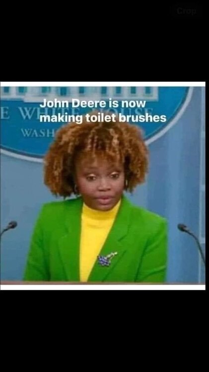 toilet brush.jpg